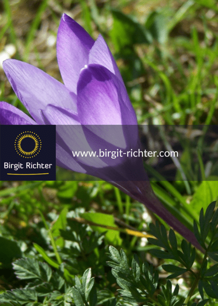 fruehling_tag_und_nachtgleiche_birgit_richter_dresden