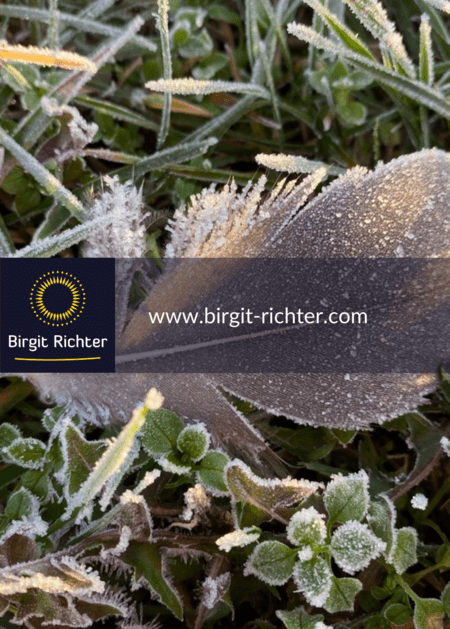 samhain_jahreskreis_birgit_richrer_dresden